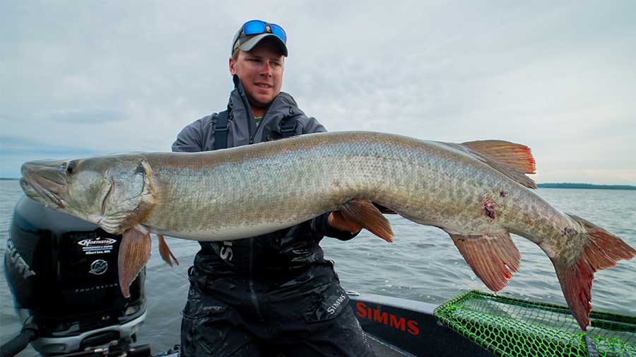 Canada Musky Fishing Guide Photo 1