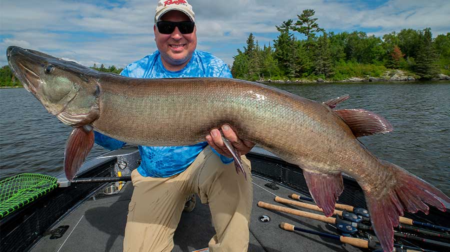 Canada Musky Fishing Guide Photo 3