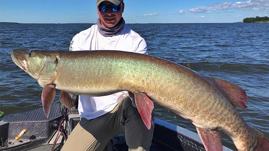 Canada Musky Fishing Guide Photo 4