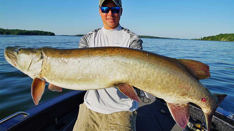 Canada Musky Fishing Guide Photo 5