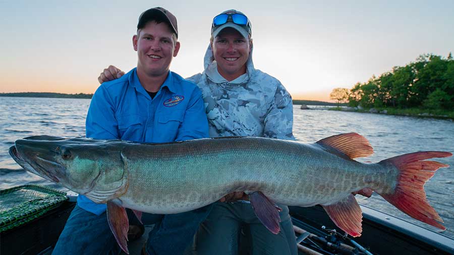 Canada Musky Fishing Guide Photo 6