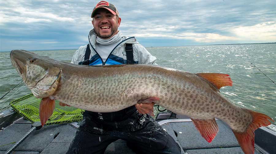 Green Bay Musky Fishing Guide Photo 2