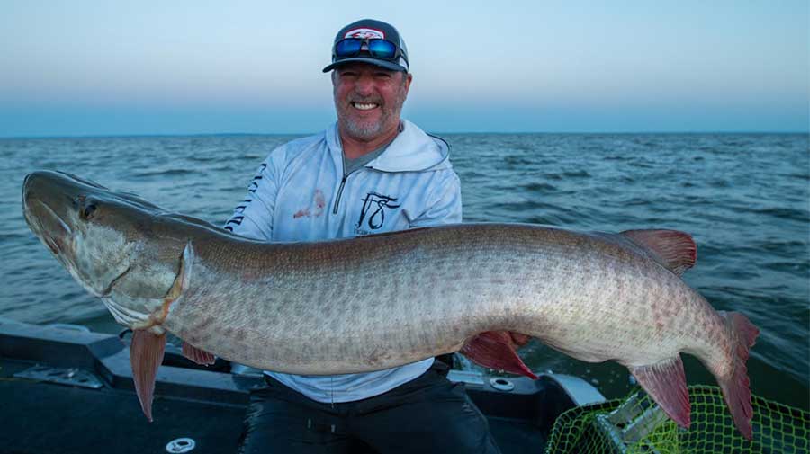 Green Bay Musky Fishing Guide Photo 4