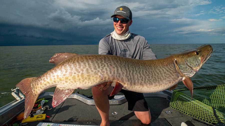 Green Bay Musky Fishing Guide Photo 5