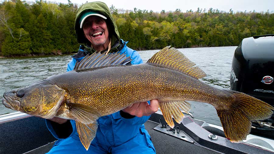 Green Bay Walleye Fishing Guide Photo 2