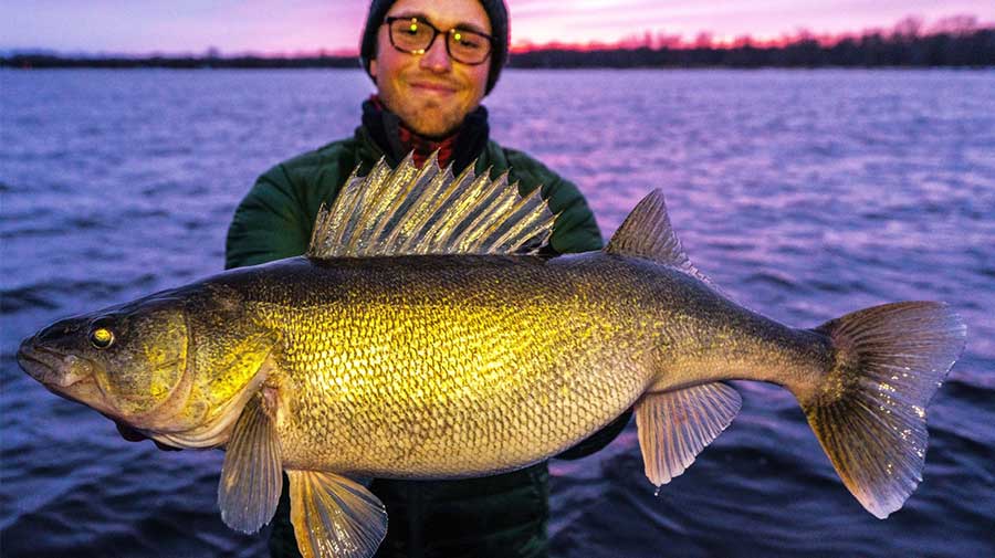 Green Bay Walleye Fishing Guide Photo 4