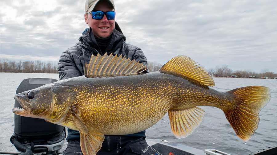 Green Bay Walleye Fishing Guide Photo 6