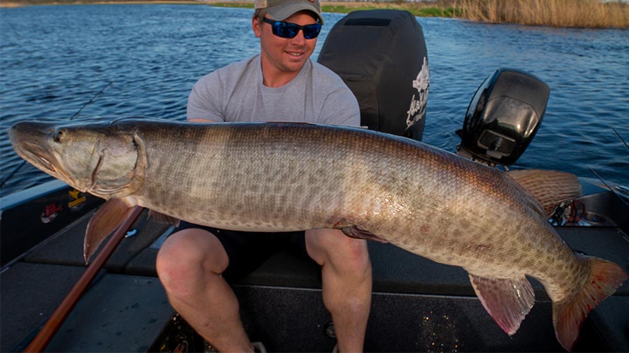 Green Bay Guide Fishing Photos Photo 29