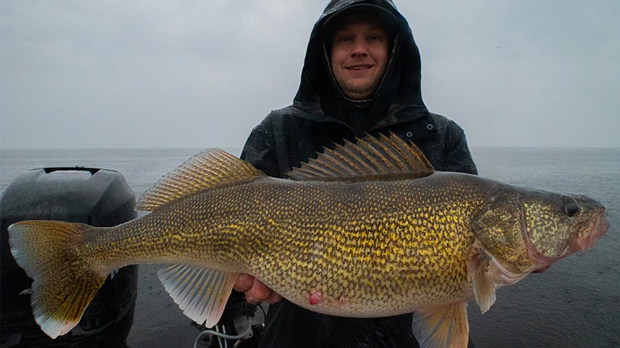 Green Bay Guide Fishing Photos Photo 30