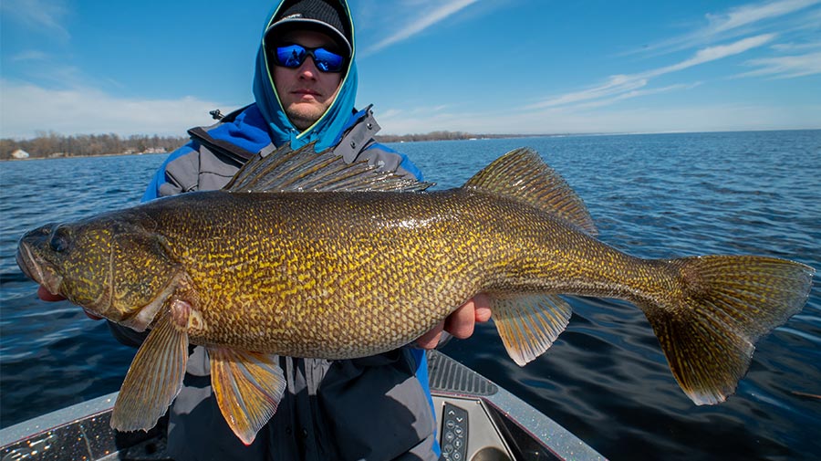Green Bay Guide Fishing Photos Photo 36