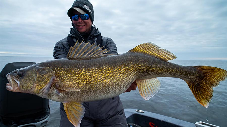 Green Bay Guide Fishing Photos Photo 45